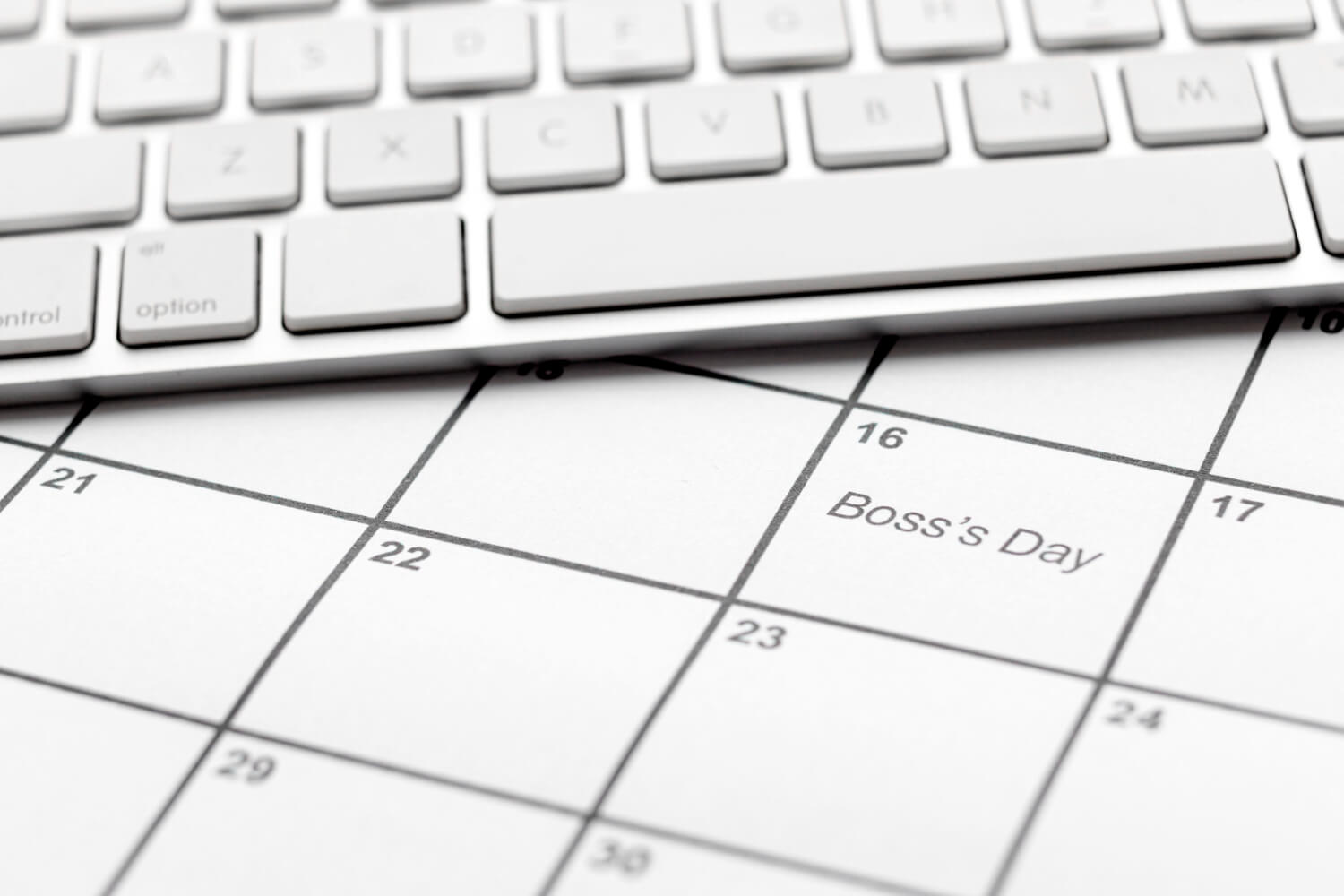 Simply Schedule Appointments vs CalNative Booking: Which Is Right for You?